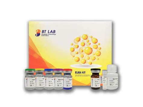 elisa kit bt lab|bt lab cancer.